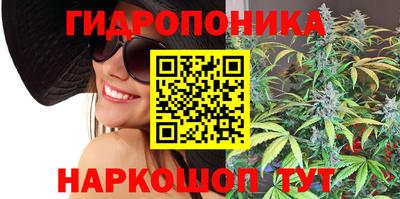 тгк Кандалакша