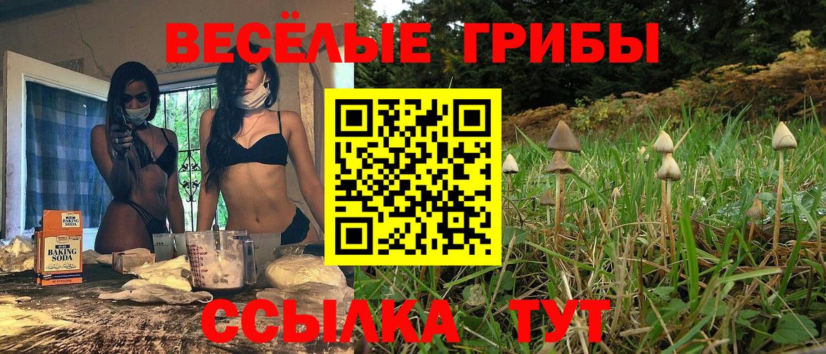 Лесной  Галлюциногенные грибы мицелий  Вход с VPN 