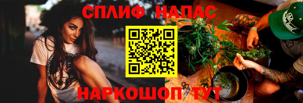 Канабис OG Kush Лесной